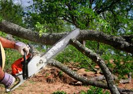 Best Seasonal Cleanup (Spring/Fall)  in Adair Village, OR