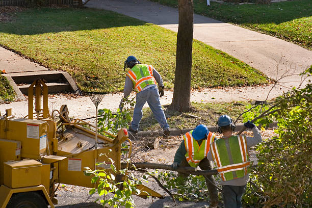 Lawn Irrigation Installation and Maintenance in Adair Village, OR