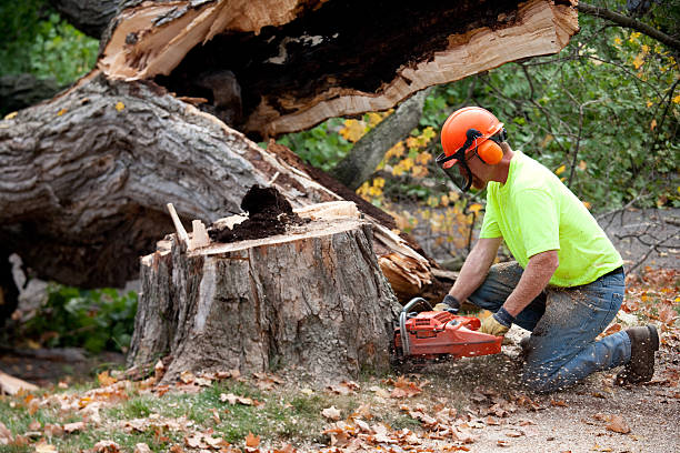 Best Firewood Processing and Delivery  in Adair Village, OR